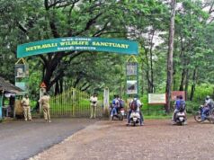 All 16 KTCL employees booked by Forest Dept have joined work today; Action will be initiated against them as per Forest Act: KTCL Chairman