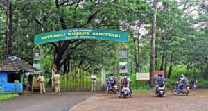 All 16 KTCL employees booked by Forest Dept have joined work today; Action will be initiated against them as per Forest Act: KTCL Chairman
