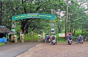 All 16 KTCL employees booked by Forest Dept have joined work today; Action will be initiated against them as per Forest Act: KTCL Chairman