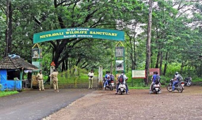 All 16 KTCL employees booked by Forest Dept have joined work today; Action will be initiated against them as per Forest Act: KTCL Chairman