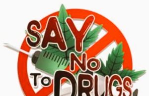 ANC officials will personally visit MLAs seeking information on drug related activities