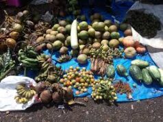 CM: No sopo charges for Ganesh Matoli vendors