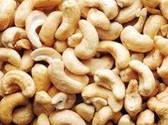Rules of Employment Subsidy Scheme for Cashew Industry relaxed
