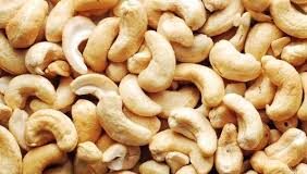 Rules of Employment Subsidy Scheme for Cashew Industry relaxed
