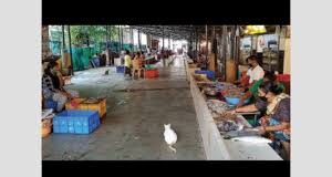 Panaji market fish vendors to be shifted to temporary shade