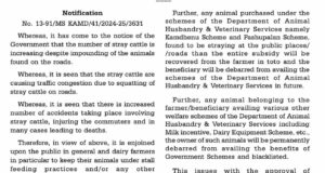 Owners of stray cattle to be blacklisted and debarred from dairy farming welfare schemes