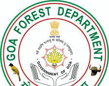 GFDC set to rejuvenate 1240 ha of cashew plantation in 5 years by spending Rs 31.67 crore