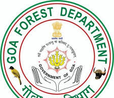 GFDC set to rejuvenate 1240 ha of cashew plantation in 5 years by spending Rs 31.67 crore