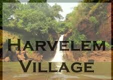 Harvalem Village Panchayat recorded 91.17% voter turnout