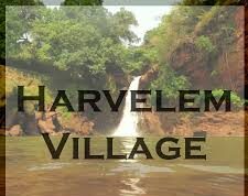 Harvalem Village Panchayat recorded 91.17% voter turnout
