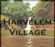 Harvalem Village Panchayat recorded 91.17% voter turnout