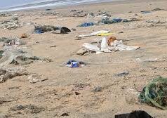Goa’s beaches have become more polluted near the shore and more cleaner offshore as compared to last year: Central Govt report
