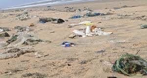 Goa’s beaches have become more polluted near the shore and more cleaner offshore as compared to last year: Central Govt report