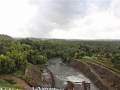 Salaulim canal damaged at Paroda, Quepem; Water supply likely to be affected