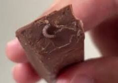 Worm found in chocolate bar; couple demands action