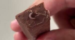 Worm found in chocolate bar; couple demands action