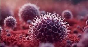 Two infants at Bangalore hospital with no international travel history tested positive for HMPV: Union Health Ministry