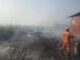 Major fire destroys scrapyard at Sancoale