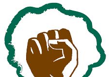 Goa Foundation objects to mining dump auctions