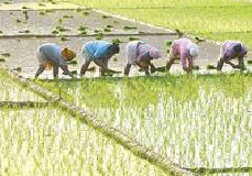Financial aid for irrigation infrastructure upped