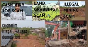 Is Goa becoming Scam capital of India?