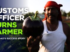 Customs officer turned farmer’s commendable efforts to save Taleigao fields