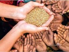 PDS beneficiaries asked to collect grains quota after Feb 10 as supply hit due to technical glitch