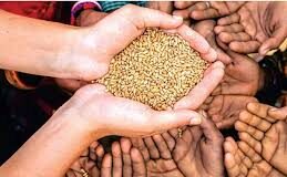 PDS beneficiaries asked to collect grains quota after Feb 10 as supply hit due to technical glitch