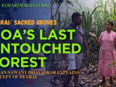 DEVRAI: Goa’s Last Untouched Forest