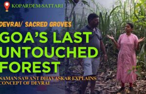 DEVRAI: Goa’s Last Untouched Forest