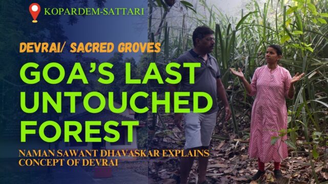 DEVRAI: Goa’s Last Untouched Forest