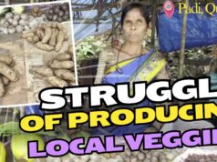 Struggle of Growing Local Veggies