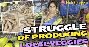 Struggle of Growing Local Veggies