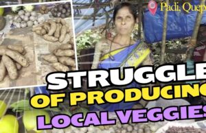Struggle of Growing Local Veggies