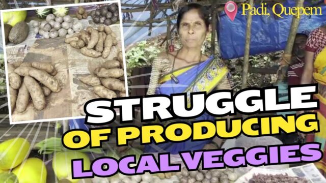 Struggle of Growing Local Veggies
