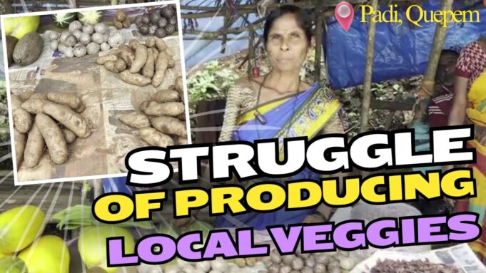 Struggle of Growing Local Veggies