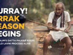 HURRAY! URRAK SEASON BEGINS