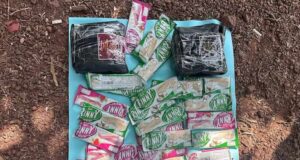 Largest drug haul by Goa police: Rs 43.20 crore worth cocaine seized at Chicolna, 3 including a woman arrested