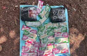 Largest drug haul by Goa police: Rs 43.20 crore worth cocaine seized at Chicolna, 3 including a woman arrested
