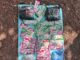 Largest drug haul by Goa police: Rs 43.20 crore worth cocaine seized at Chicolna, 3 including a woman arrested