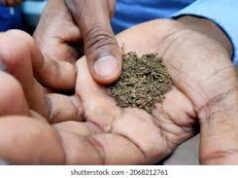 Lobo demands strict action against gutka menace in coastal belt