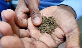 Lobo demands strict action against gutka menace in coastal belt