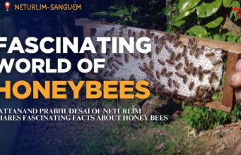 FASCINATING WORLD OF HONEYBEES