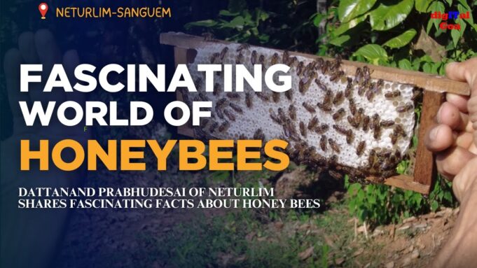 FASCINATING WORLD OF HONEYBEES