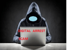 Siolim Dec 2024 ‘digital arrest’ scam mastermind from Singapore nabbed at Delhi Airport
