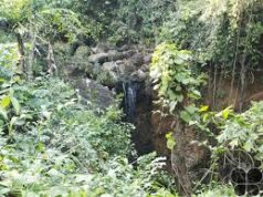 Rs 13 crore Kesarval Spring renovation planned; govt to act against polluting industries