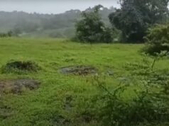 Two men electrocuted by illegal live wire setup in Rivona; woman booked for culpable homicide