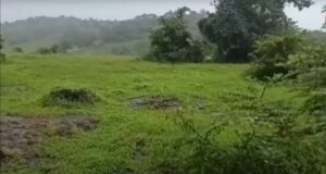 Two men electrocuted by illegal live wire setup in Rivona; woman booked for culpable homicide