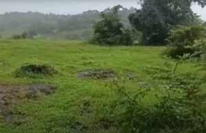 Two men electrocuted by illegal live wire setup in Rivona; woman booked for culpable homicide