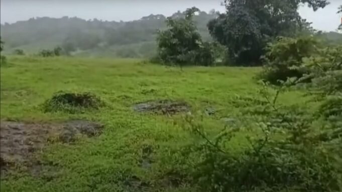 Two men electrocuted by illegal live wire setup in Rivona; woman booked for culpable homicide